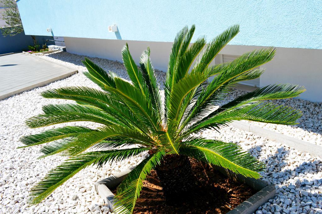 Apartment Permarinus Podstrana